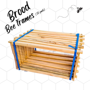 Brood Frames – Pack of 10
