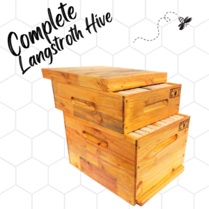 Langstroth Hive + Super (no wax)